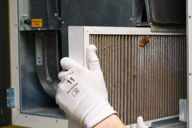 Air Duct Mold Removal in Cheshire Village, CT